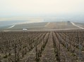 #6: The vineyards of Champagne