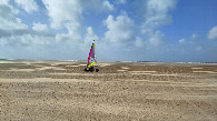 #8: beach surfer