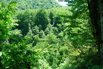 #1: View from the ridge of the confluence point