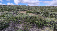 #2: view to the north