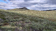#3: view to the east