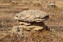 #8: Termite mound