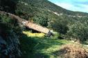 #6: Old farmhouse in the olive orchard