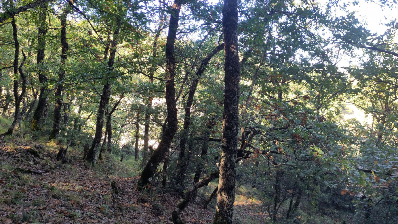 view to the north