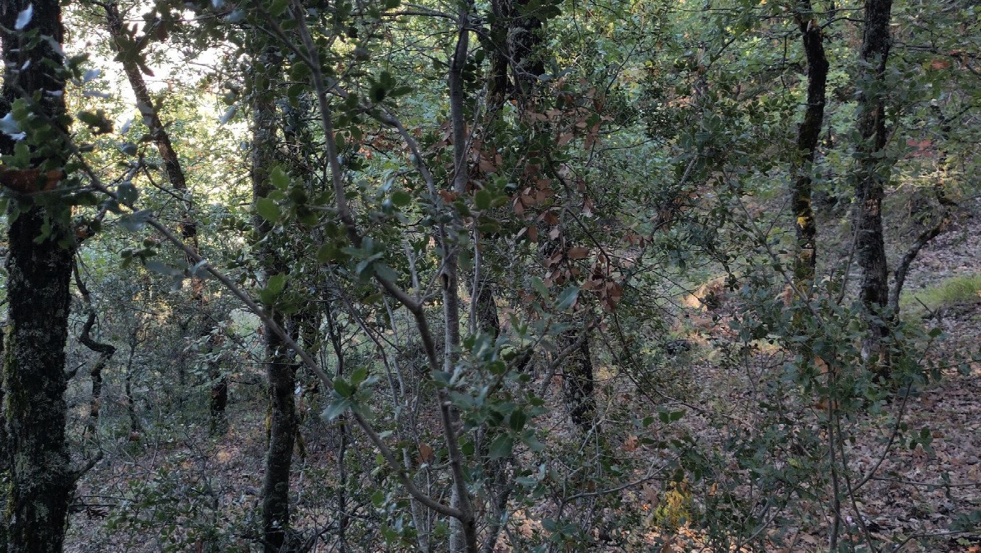 view to the east
