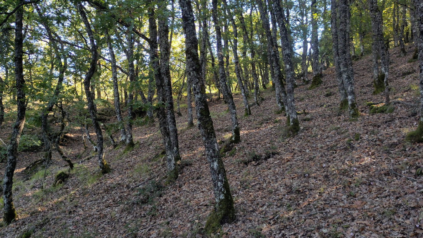 view to the south