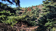 #2: view to the north