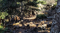 #3: view to the east