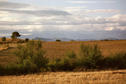 #7: Distant view North with Kerkini mountains