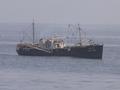 #4: The Senegalese beam trawler "Barracuda"