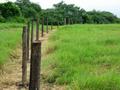 #7: Unfinished fence 100 meters north of the confluence