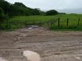 #9: Muddy entrance to the field, 200 meters from the confluence