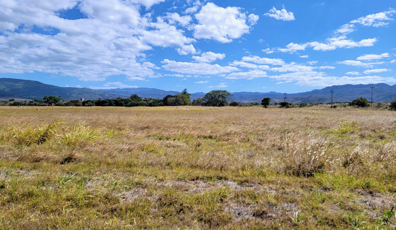 View south with the field and small road beyond the trees.