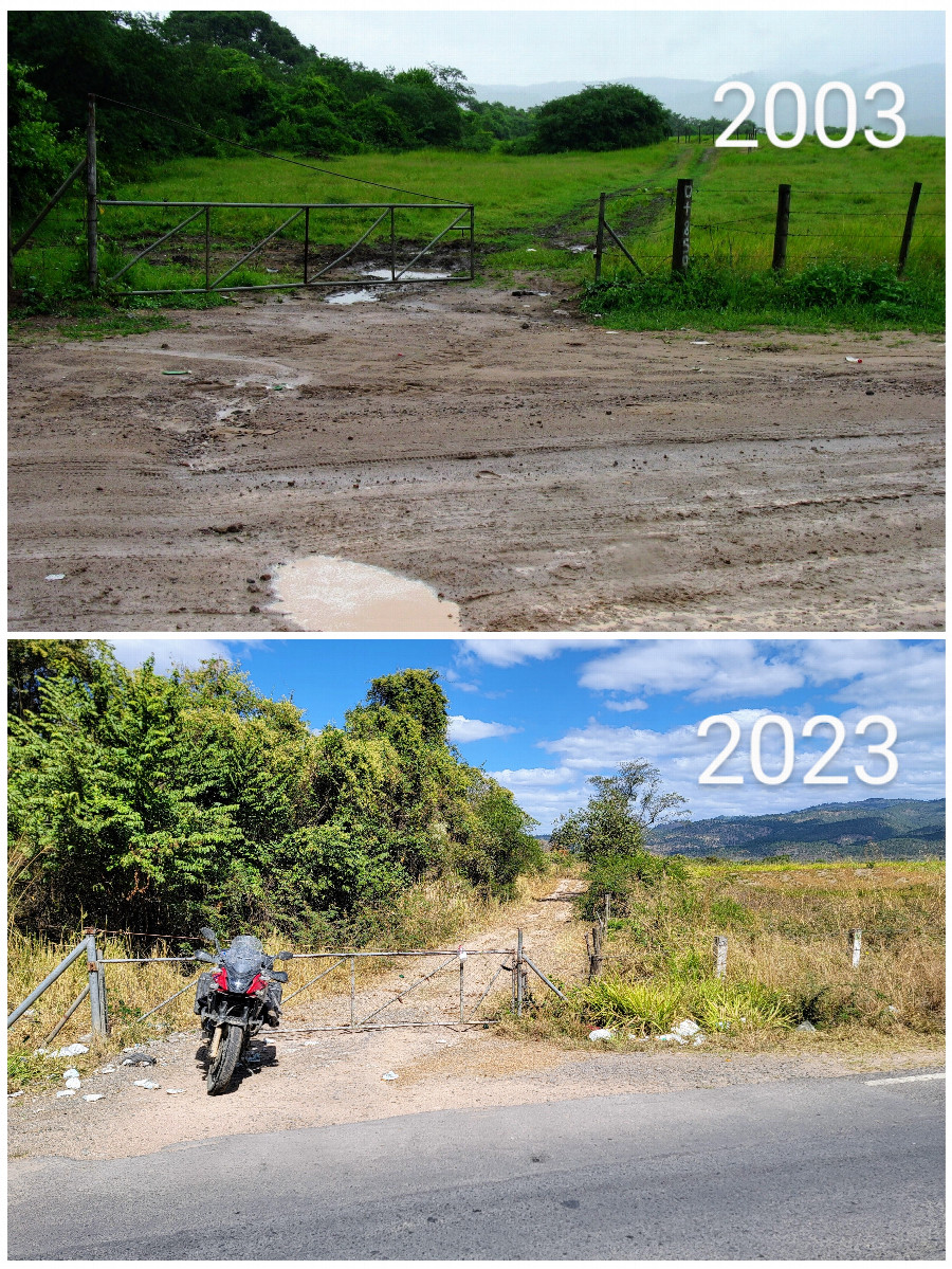 The road has been paved but the gate and fence are still there. 