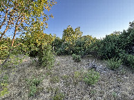 #3: view to the South