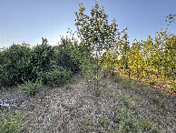 #4: view to the West