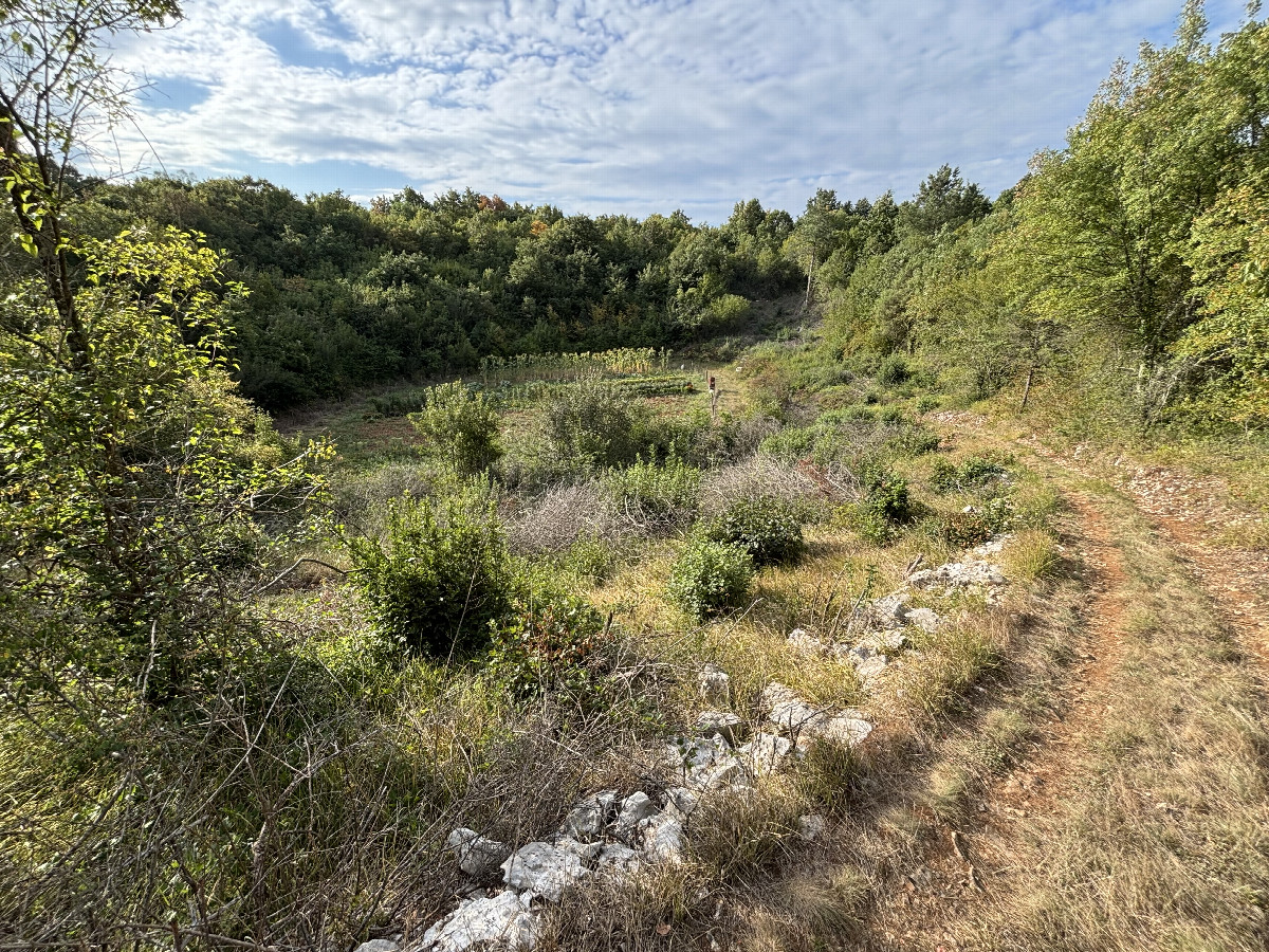 General view of the CP