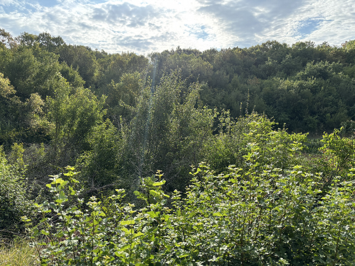View to the East