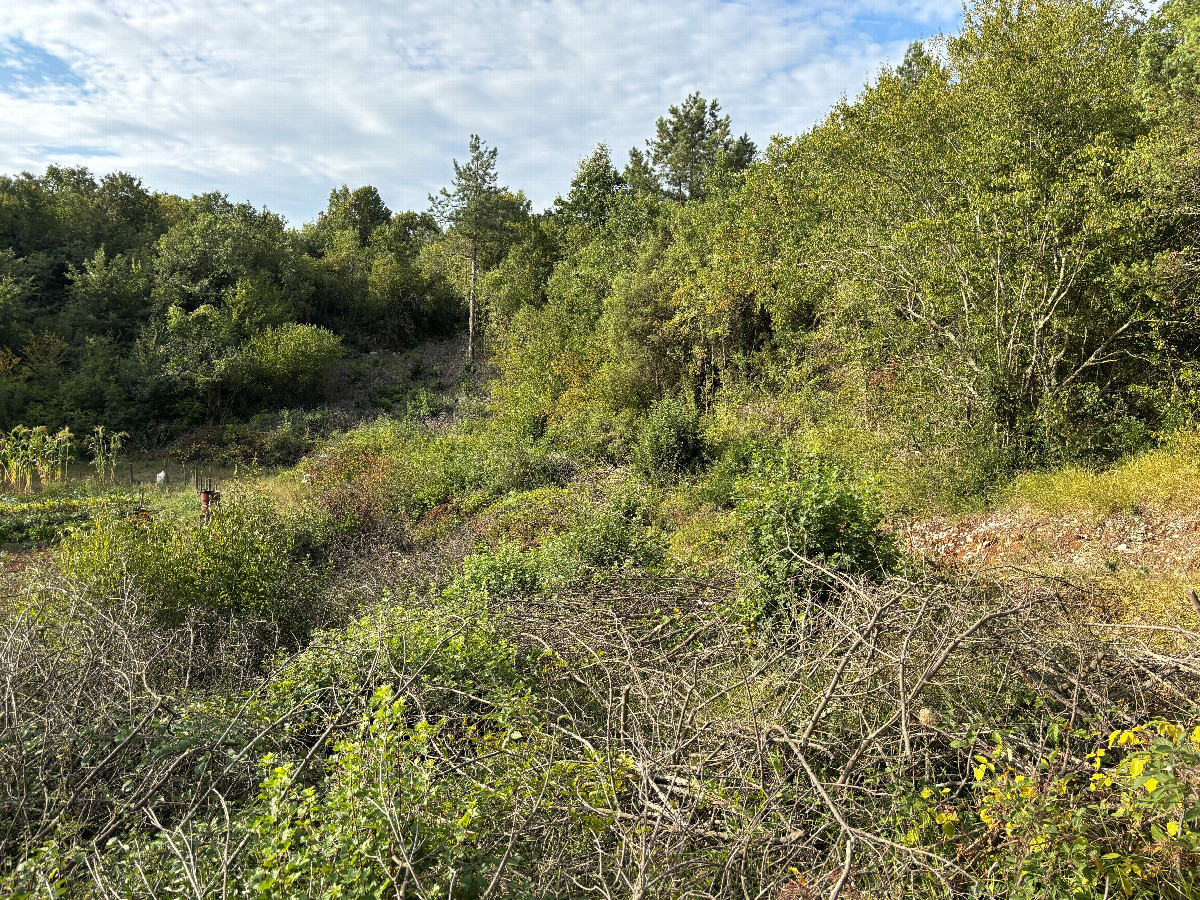 View to the South