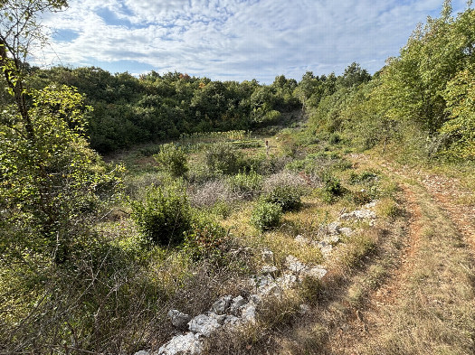 #1: General view of the CP