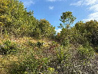 #2: View to the North