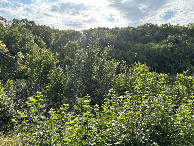 #3: View to the East