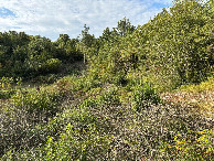 #4: View to the South