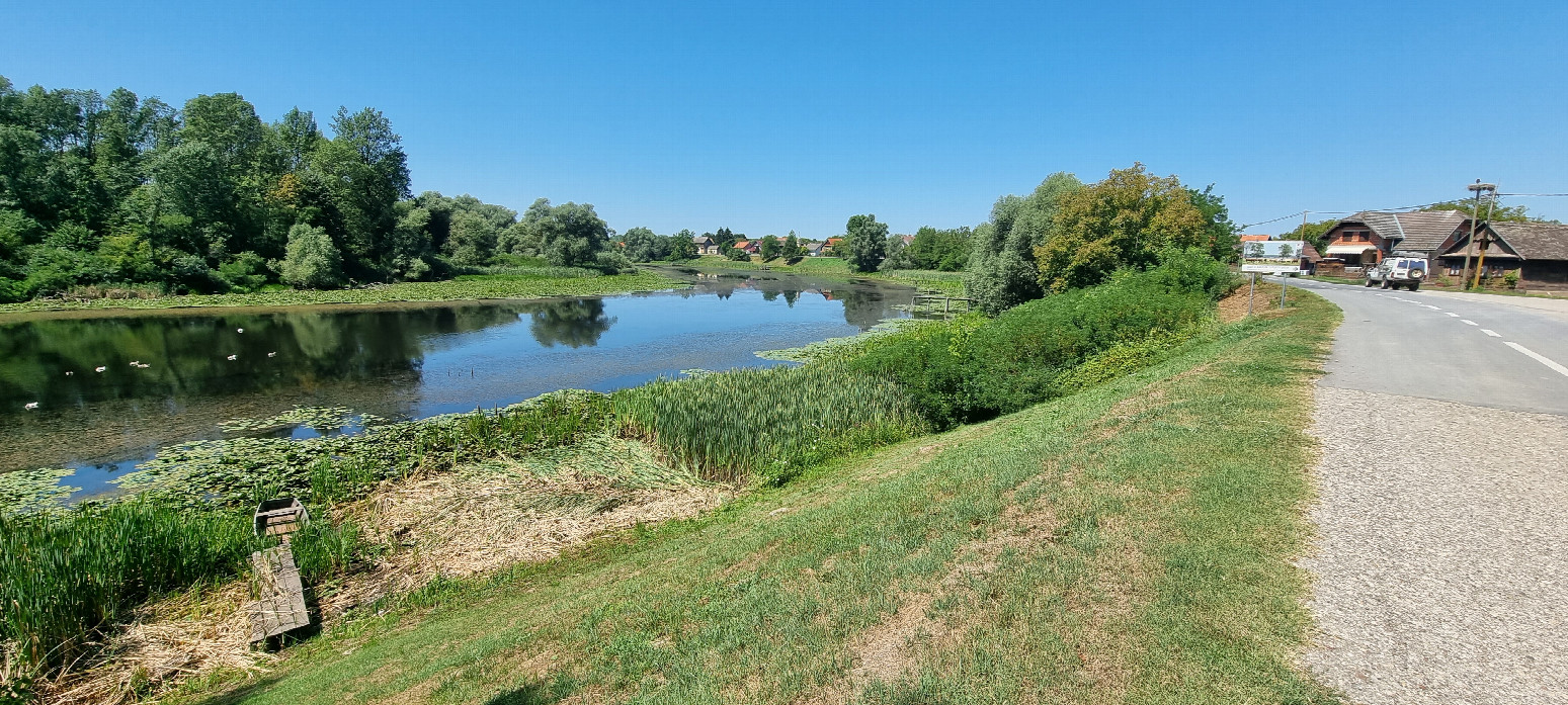 oxbow of Save at Mužilovčica, Lonjsko Polje National Park