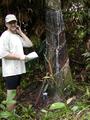 #9: tom and a rubber tree
