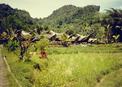 #7: Village with typical Toraja houses