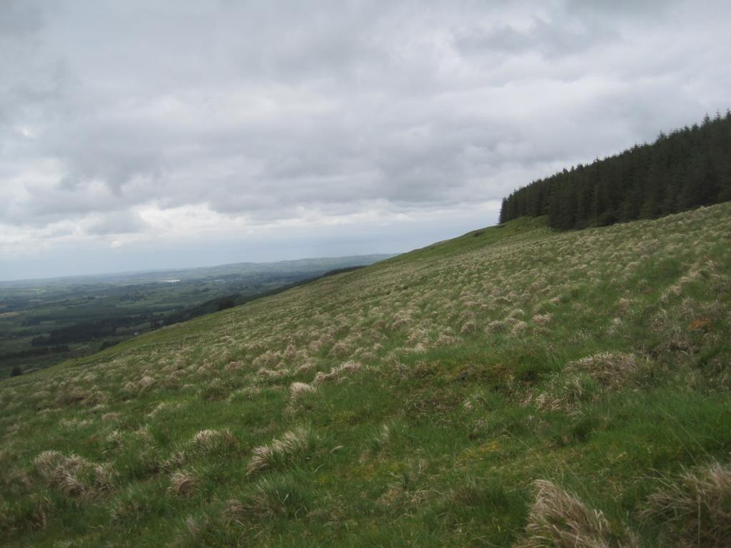 Süden; view south