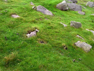 #1: The confluence point: A steep, rock-strewn hillside (and sheep farm)