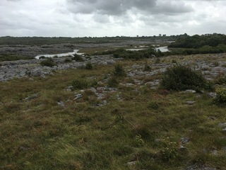 #1: The Confluence from 15 m distance