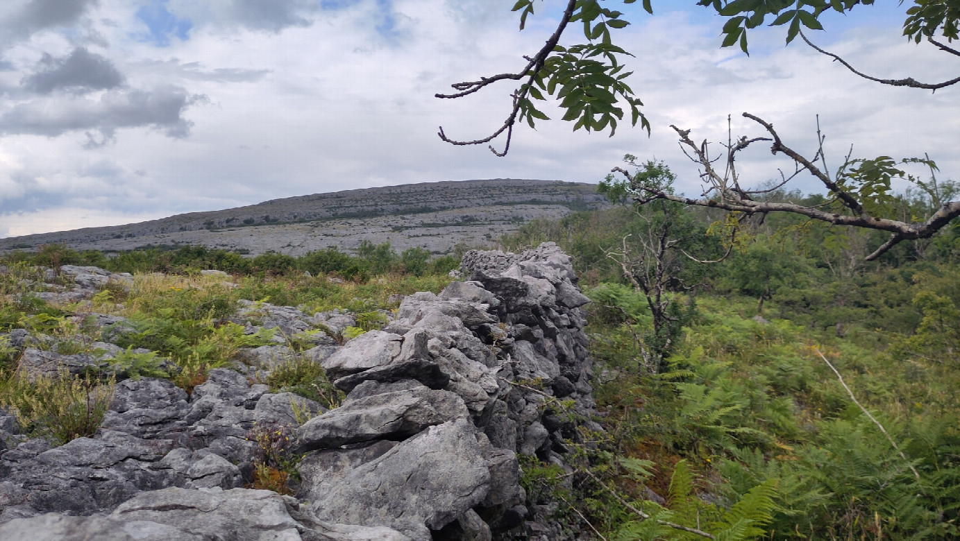 wall between privately used area and Burren National Park, 630 m away from the CP