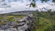 #8: wall between privately used area and Burren National Park, 630 m away from the CP