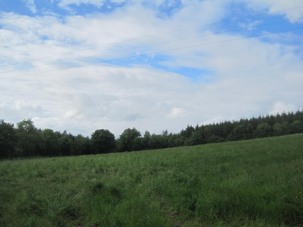 large meadow towards CP