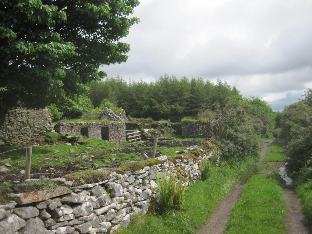 ruines with track near gate