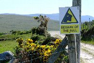 #8: beginning of the gravel road to the confluence