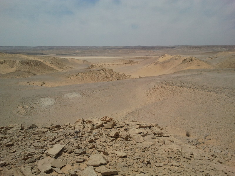 View of the desert  (to the west)