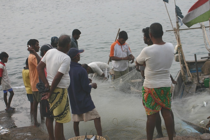 Fishermen emptying the nets