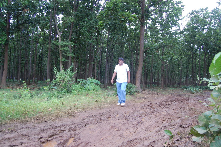 Anil  Dhir  emerging  from  the  woods