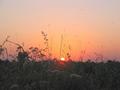 #10: Fulgent Sunset at CP 23°N 71°E