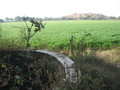 #6: The stone well that sits on the side of the field where the cp lays