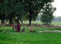 #9: People working in the field near the confluence.