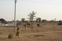 #5: View Of Confluence (Center Of Photo, Behind Cow)