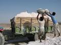 #7: Salt workers load up a truck