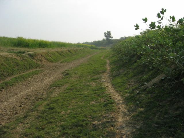 Path leading up to the confluence