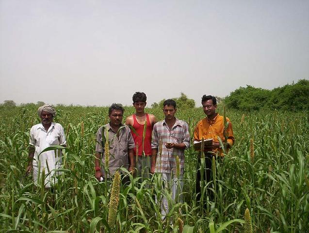 villagers in the fields