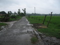 #8: Farmland and a country road that leads to the cp