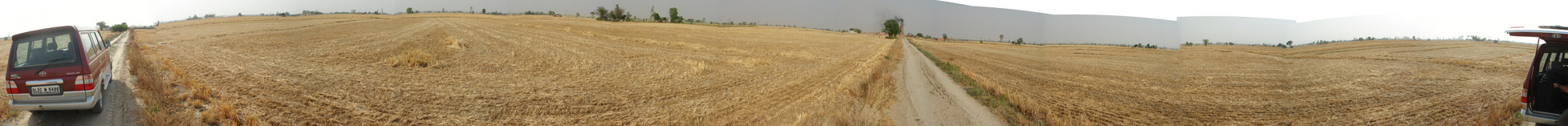 Panoramic view of the wheat fields